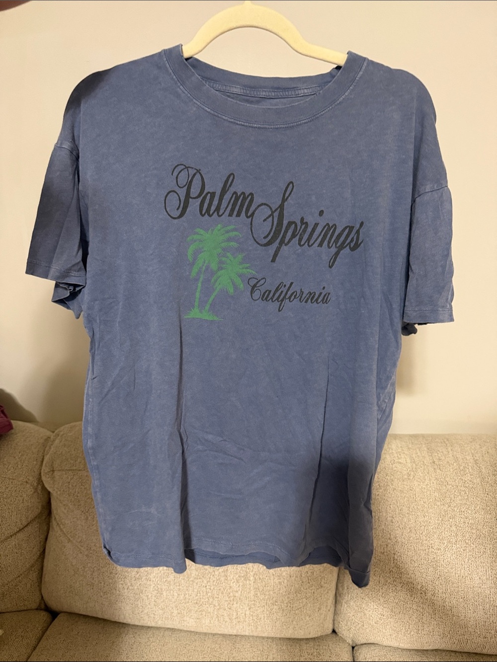 American Eagle Outfitters Blue Palm Springs Graphic Tee